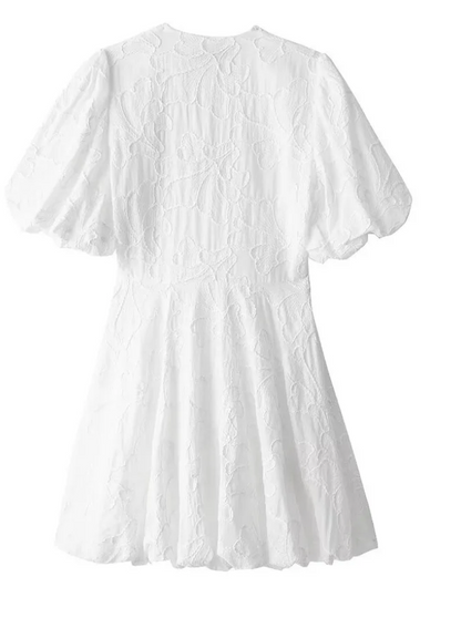 Women’s Embroidered Mini Dress with Short Puff Sleeves