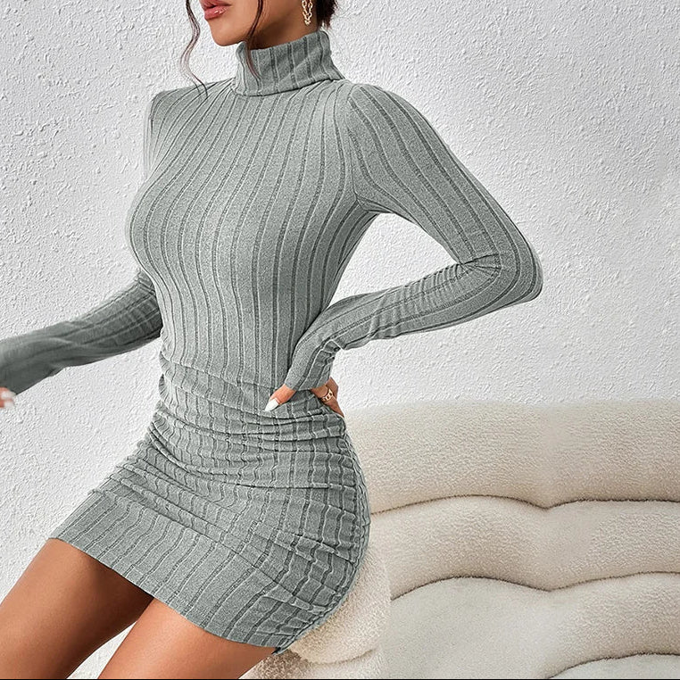 Women’s mini dress ribbed high neck
